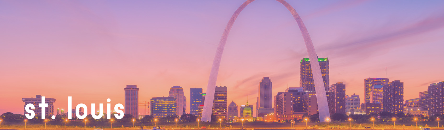 St. Louis City Skyline