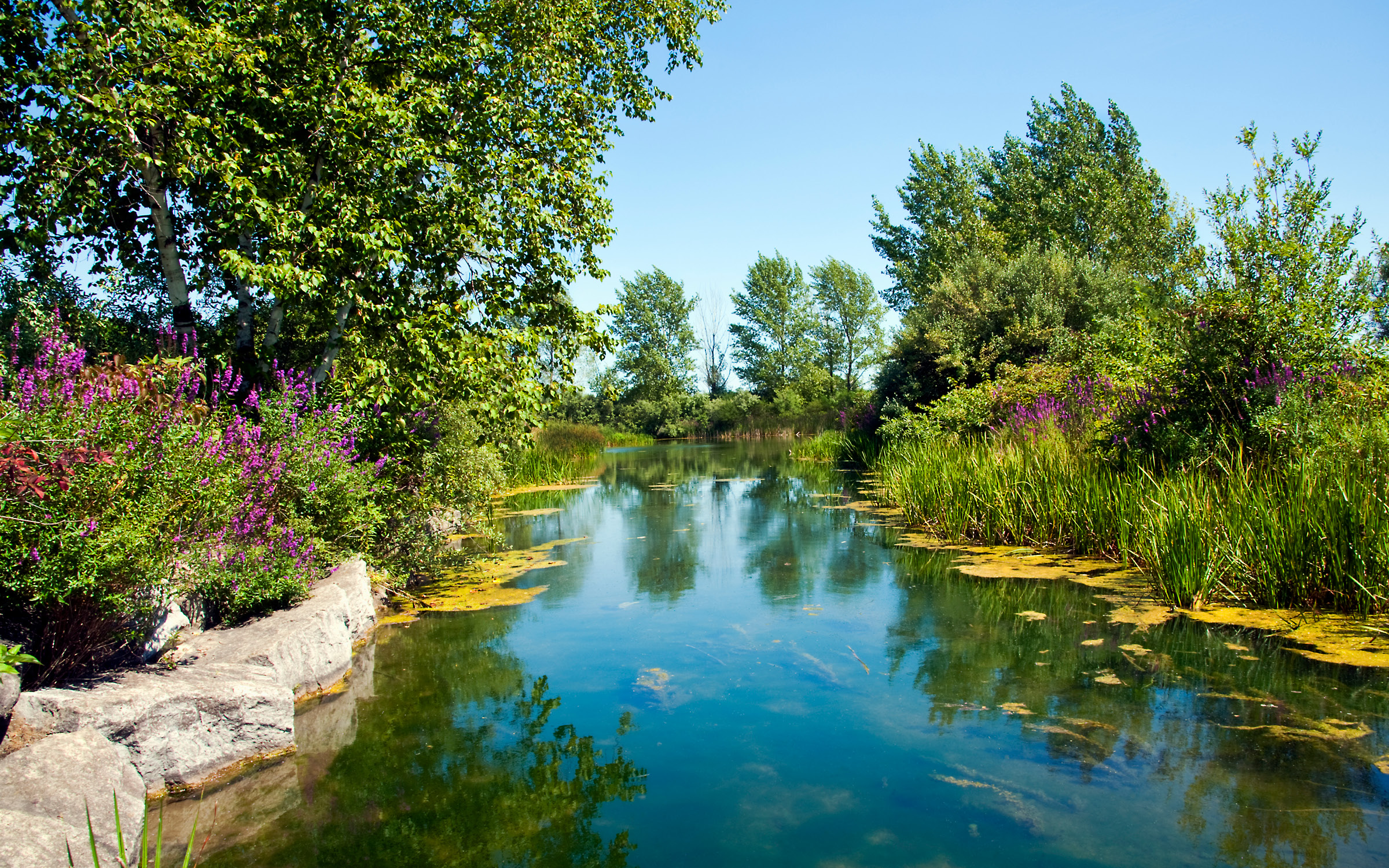 King City, Ontario