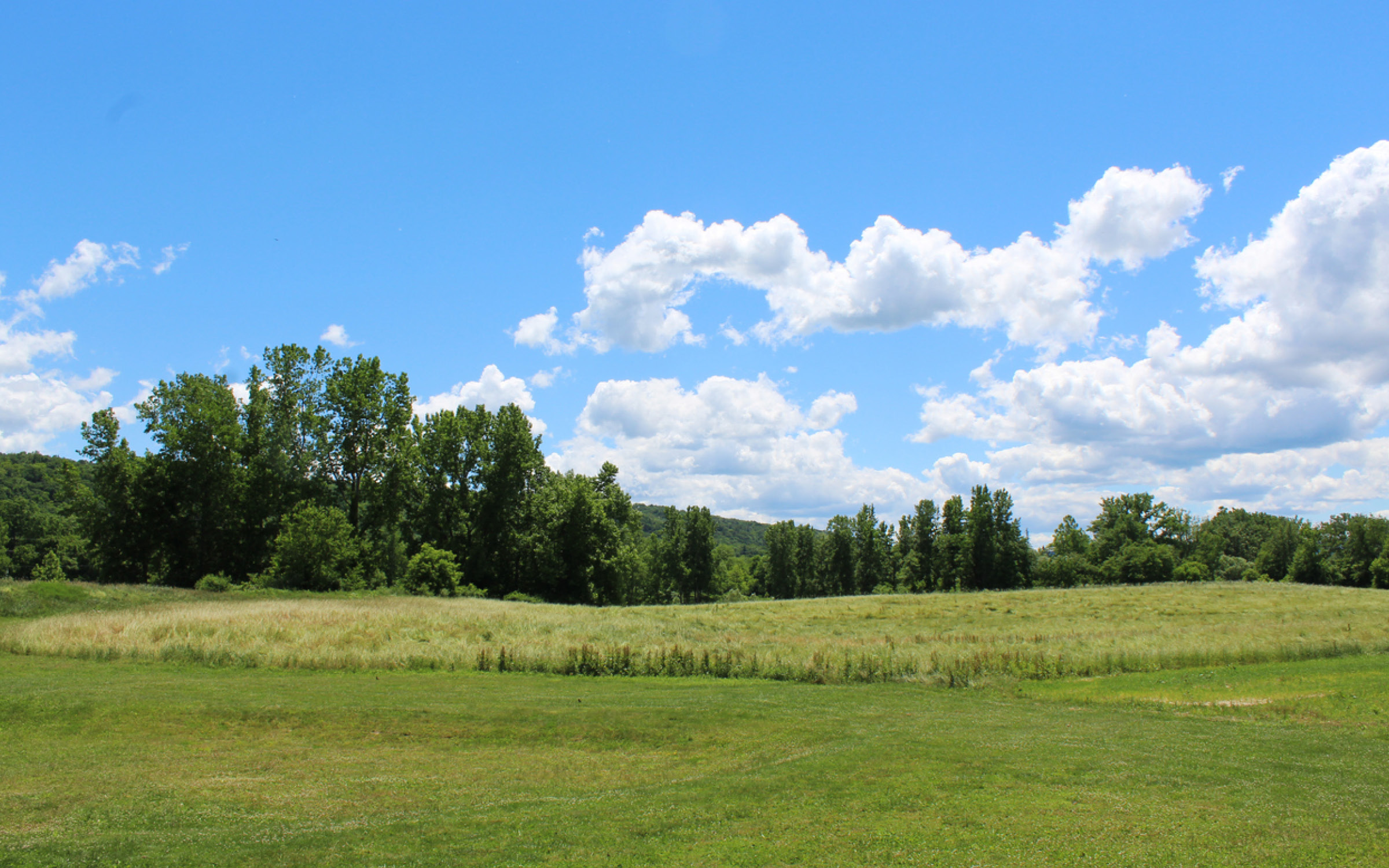 Purchase, NY Westchester County Internship Housing