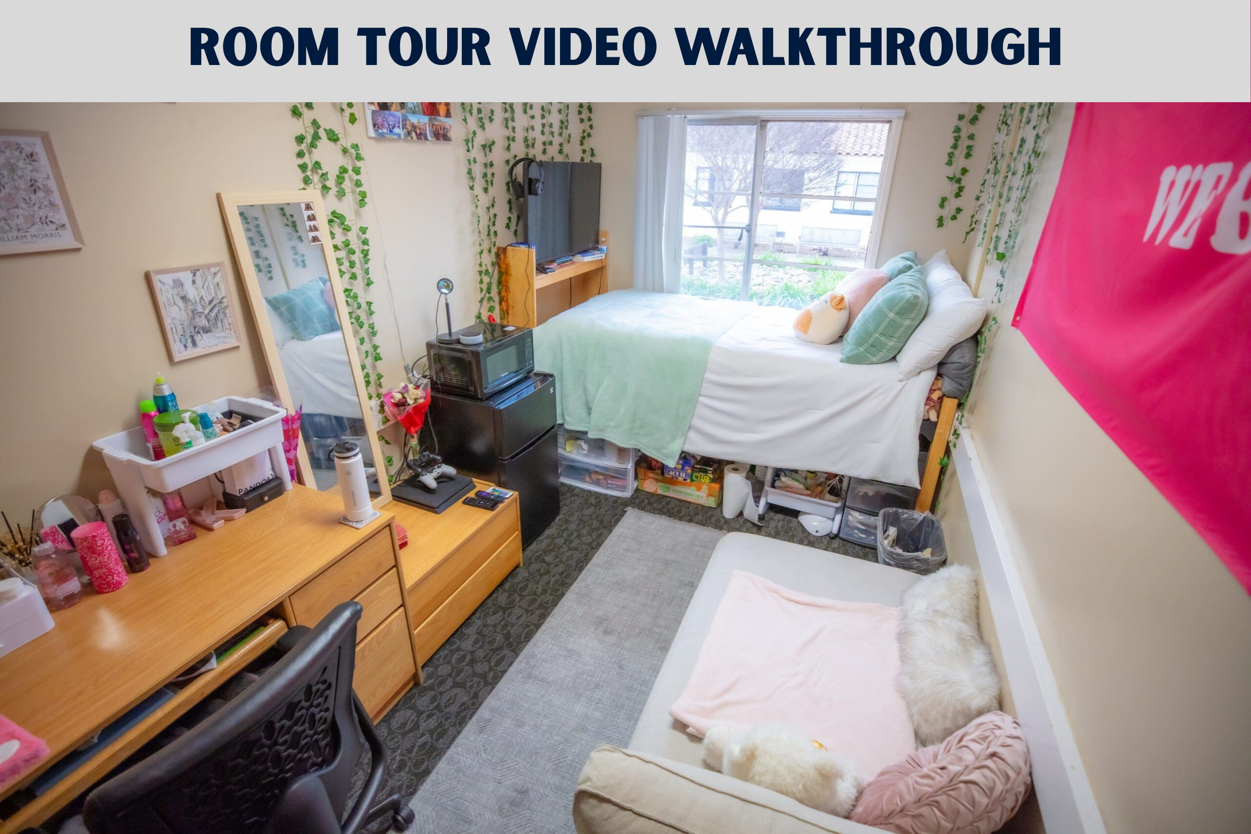 Picture of a decorated single occupant room in El Camino Hall