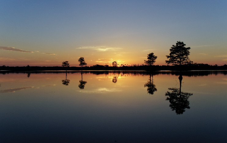 Orlando at dusk
