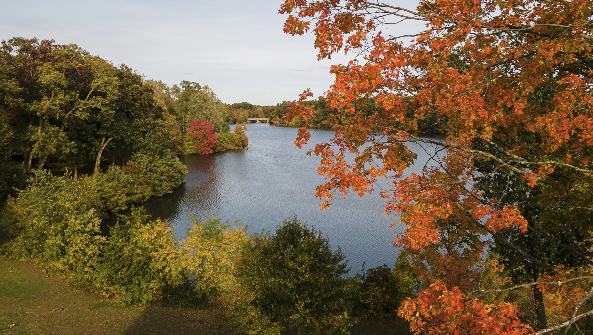 Springfield College Campus in fall