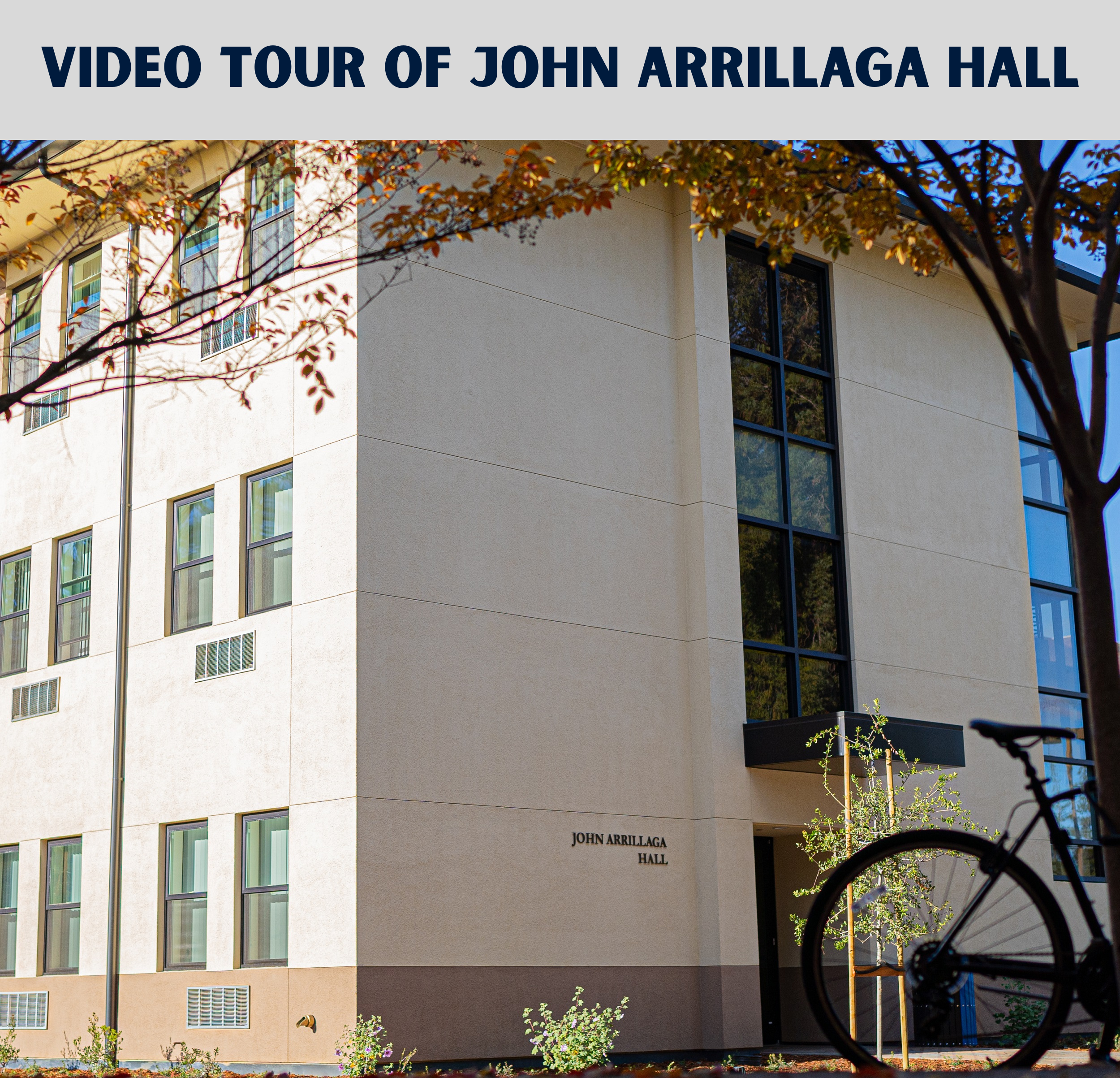 An exterior corner angle picture of the front and side of John Arrillaga hall with a tree during Fall in the right side of the picture