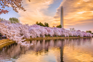 Washington_Monument