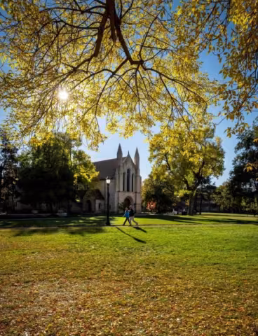 Two people walking beneath a tree with yellow leaves on the Colorado College campus