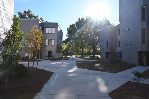 An exterior shot of the pathway to the left of Ripley House 