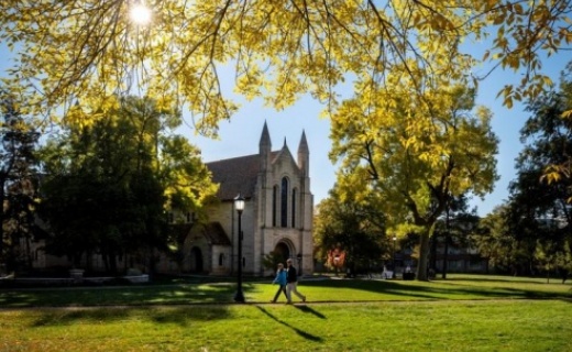 Two people walking beneath a tree with yellow leaves on the Colorado College campus