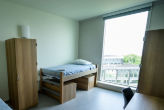 Deluxe Single, Shared Suite 