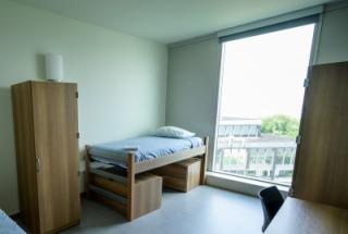 Deluxe Single, Shared Suite 